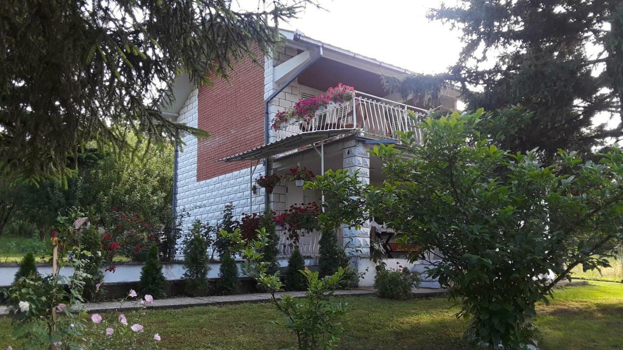 White House With Sauna And Jacuzzi Novi Sad Eksteriør billede